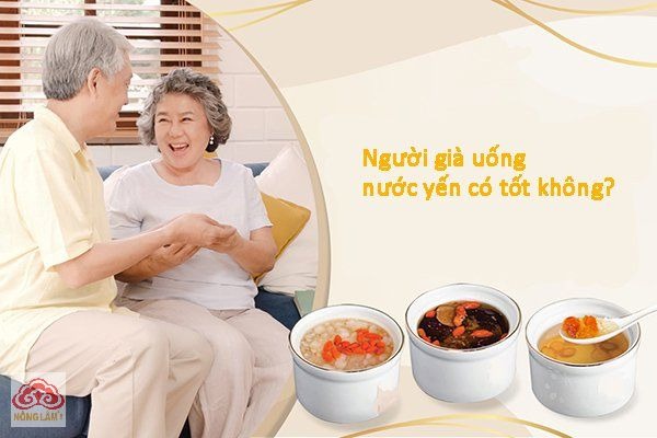 cách sử dụng yến sào cho người già