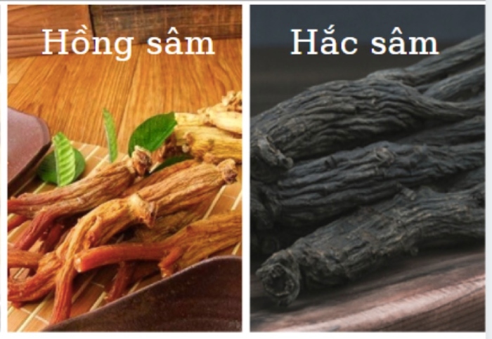 Hắc sâm hồng sâm