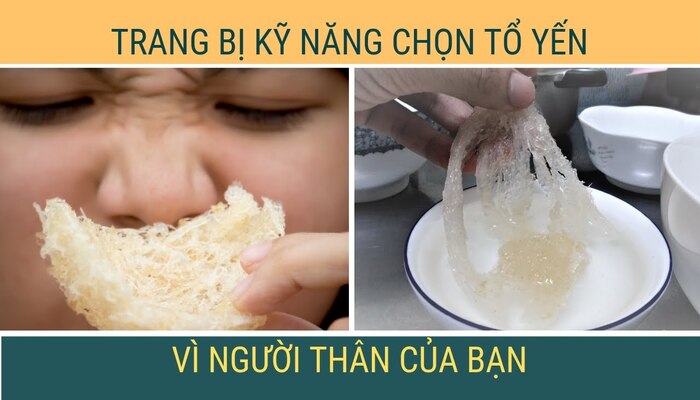 mua yến thật chất lượng cao